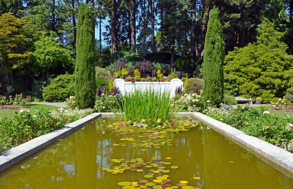 Botaniska trädgården pond — Stockfoto