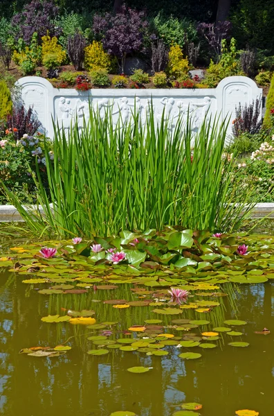Vatten trädgård — Stockfoto