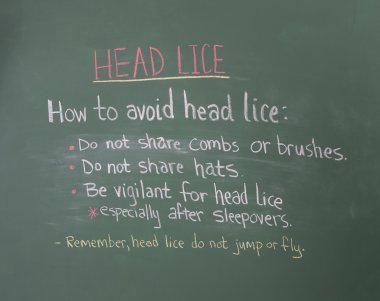 Head Lice information on chalkboard clipart
