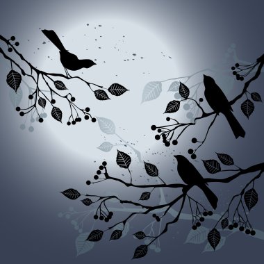 Birds on the branch during summer's night clipart