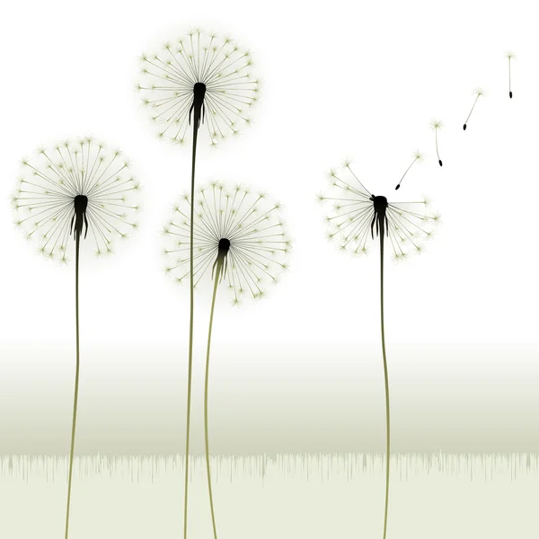Çiçek arka plan, karahindiba — Stok Vektör