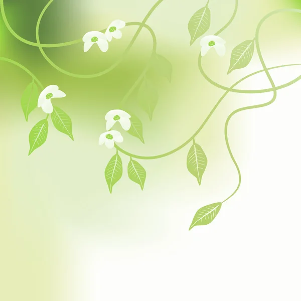 Φύλλα, άνοιξη - διάνυσμα φόντο — Διανυσματικό Αρχείο
