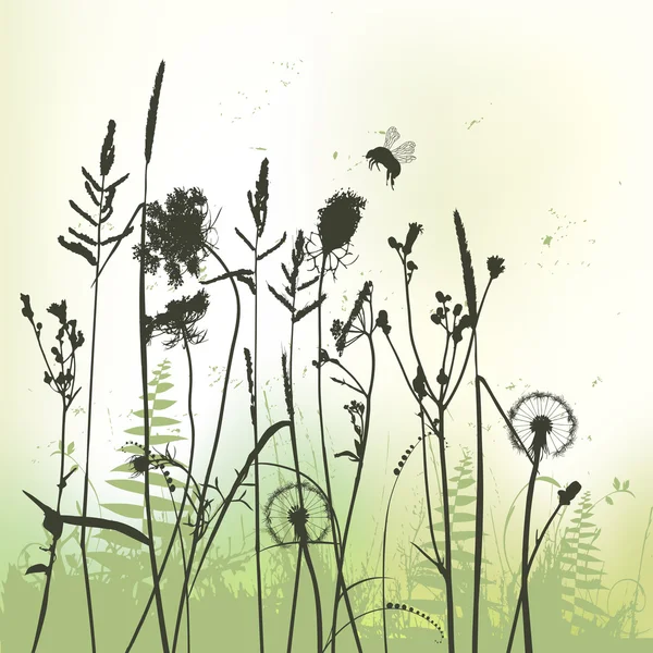 Real grass silhouette with bumblebee - vector — Stock Vector