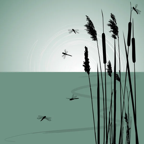 Cañas en el agua y pocas libélulas - vector — Vector de stock