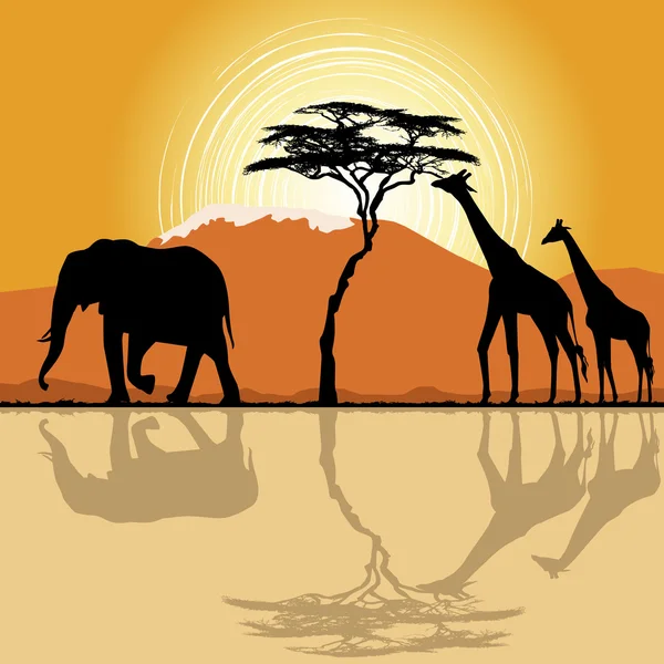 Afrikanische Landschaft im Sonnenuntergang mit Giraffen und Elefanten. — Stockvektor