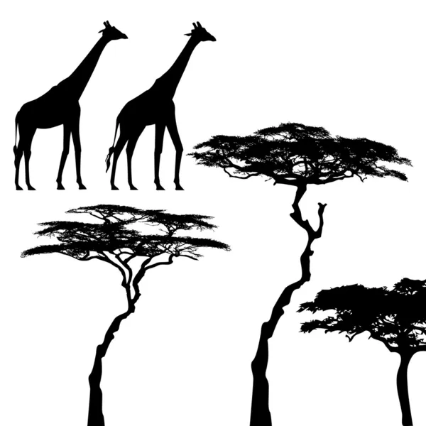 非洲的动物，长颈鹿，矢量剪影 — 图库矢量图片