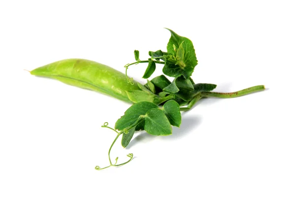 成熟豌豆与绿叶 — 图库照片