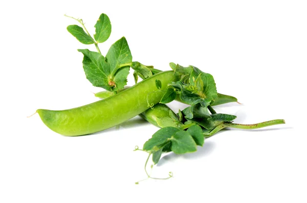 Mogen ärter med grönt blad — Stockfoto