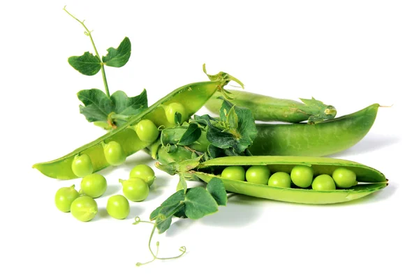 Ervilhas maduras com folha verde — Fotografia de Stock