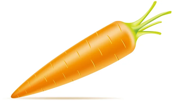 Illustrazione vettoriale carota — Vettoriale Stock