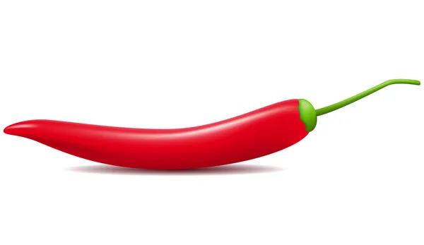 Red hot chili peper vectorillustratie — Stockvector
