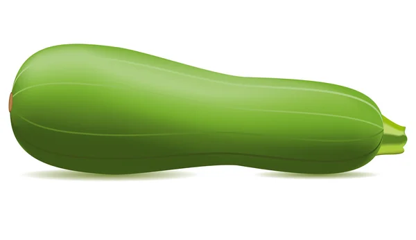 Illustrazione vettoriale di zucchine — Vettoriale Stock