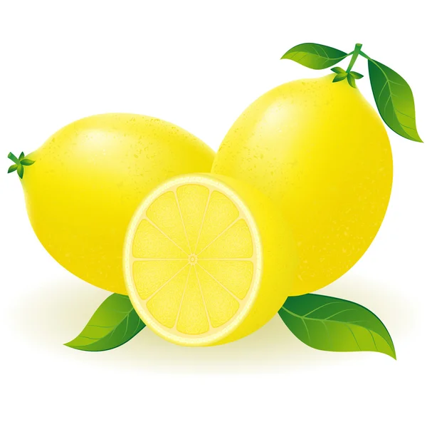 Лимонная векторная иллюстрация — стоковый вектор