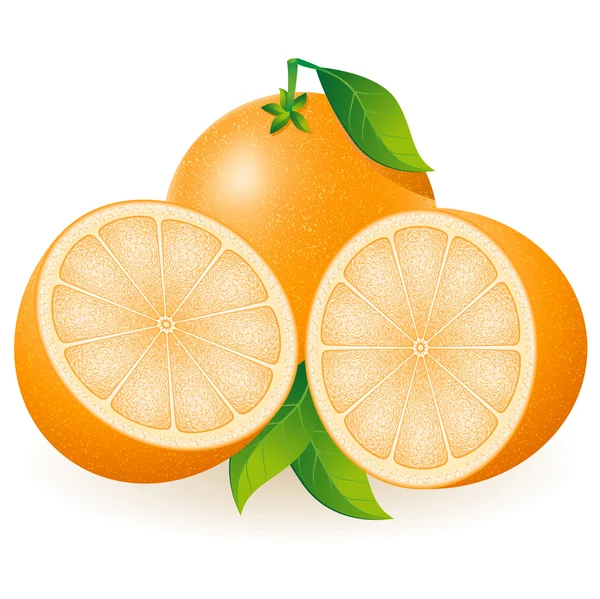 Illustrazione vettoriale arancione — Vettoriale Stock