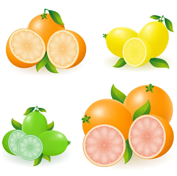 Conjunto de cítricos naranja limón lima pomelo vector ilustración — Vector de stock