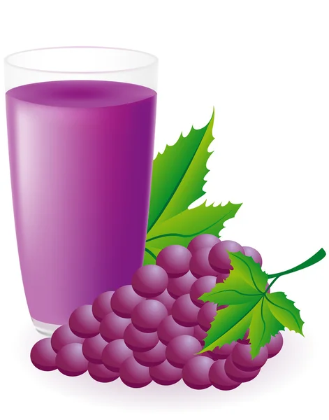 Blue grape juice vector illustration — Stock Vector