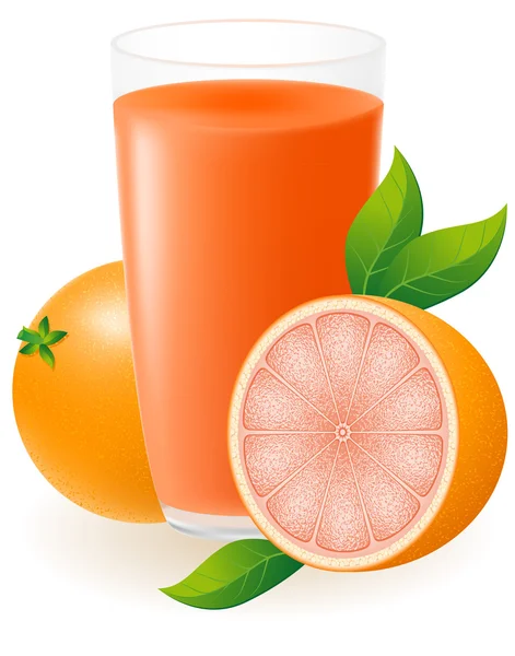Grapefruit juice vector illustration — Stock Vector