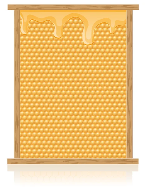 Peigne en miel dans l'illustration vectorielle du cadre — Image vectorielle