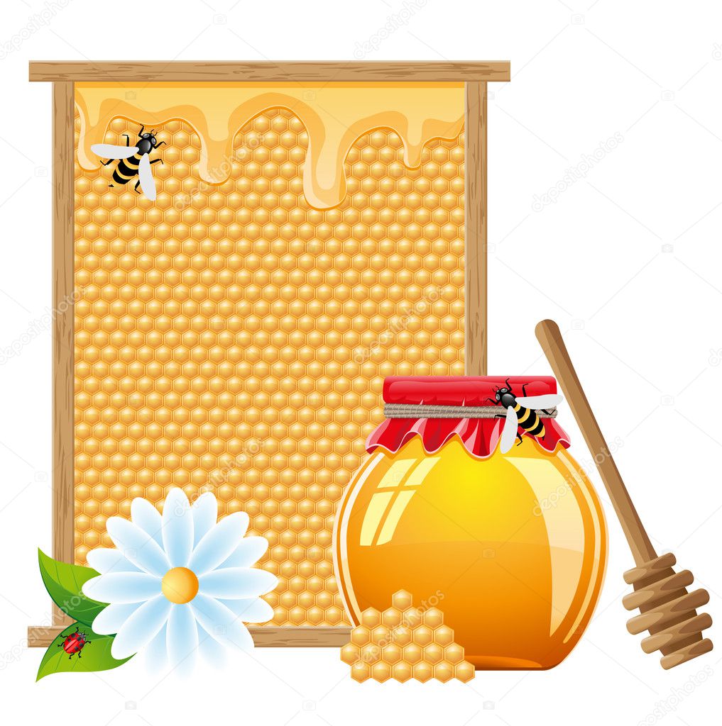Natural honey vector illustration