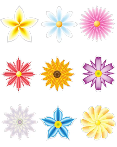 Zestaw ikon z kwiatów dla projektu — Zdjęcie stockowe