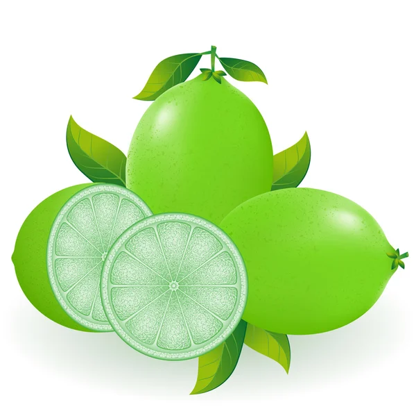 Lime illustration — Stock Photo, Image