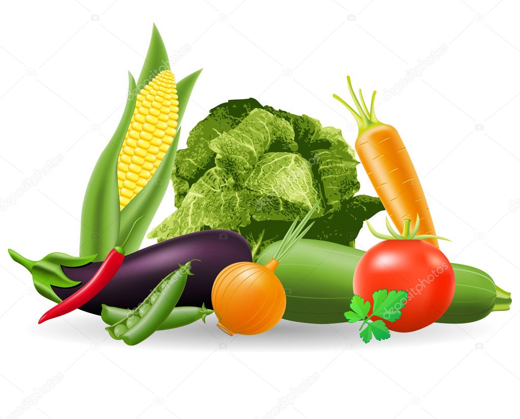 Still life of vegetables illustration