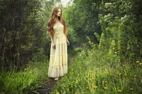 Photo of romantic woman in fairy forest — Stock Photo, Image