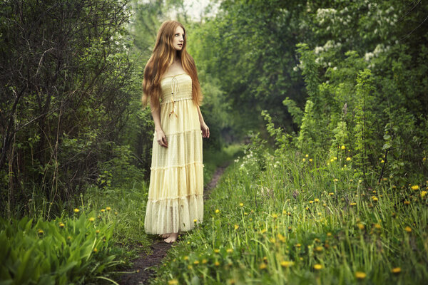 Photo of romantic woman in fairy forest. Beauty summertime