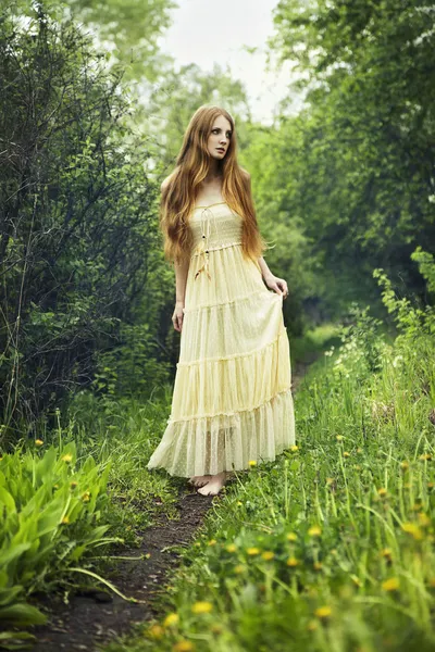 Photo of romantic woman in fairy forest — Stock Photo, Image