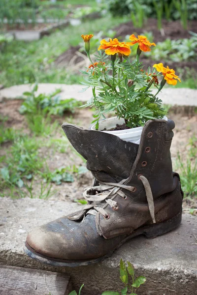 Stare buty używane w ogrodzie — Zdjęcie stockowe