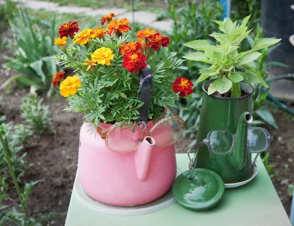 Старые чайники, используемые в садовом дизайне — стоковое фото