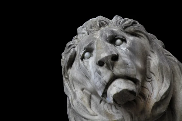 Cabeza de león munich — Foto de Stock