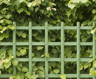 Green fence clipart