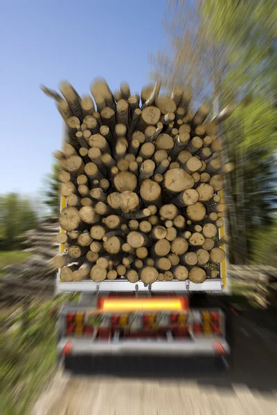 Loaded Timber — Stock Photo, Image