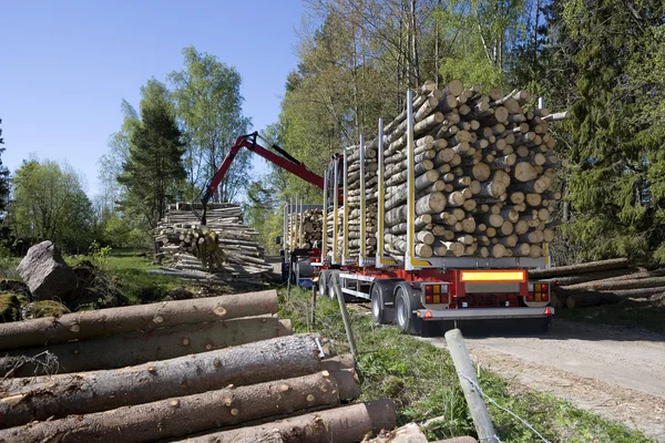 Carregamento de madeira — Fotografia de Stock