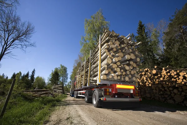Camión con madera — Foto de Stock
