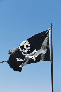 Pirate Flag clipart