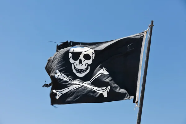 stock image Pirate Flag