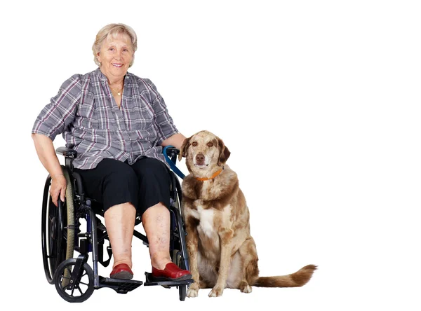 Senior vrouw in rolstoel met hond — Stockfoto