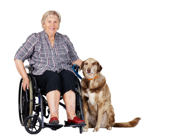 Senior woman in wheelchair with dog