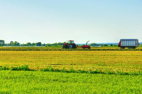 Frühe Arbeit im Getreidefeld — Stockfoto
