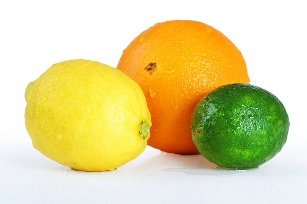 stock image Beautiful wet citrus fruits over white