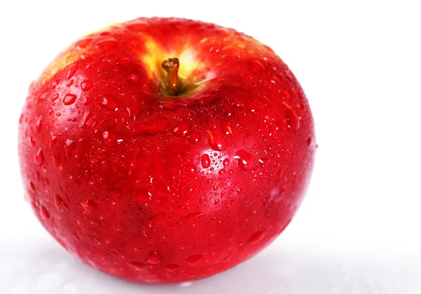 Jasne czerwone jabłko z kroplami wody — Zdjęcie stockowe