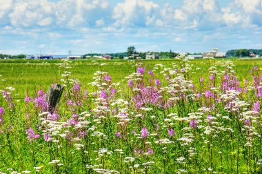 Summer landscape in rural Canada clipart