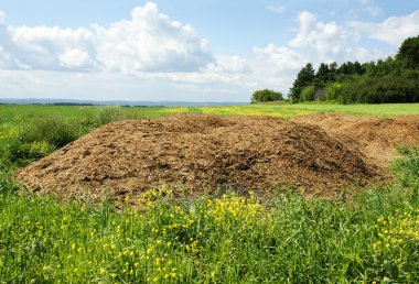 Chicken manure heap clipart