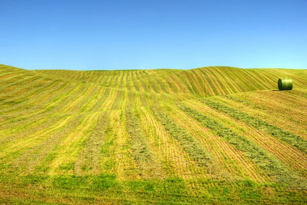 Glooiende heuvels van gehuld veld — Stockfoto