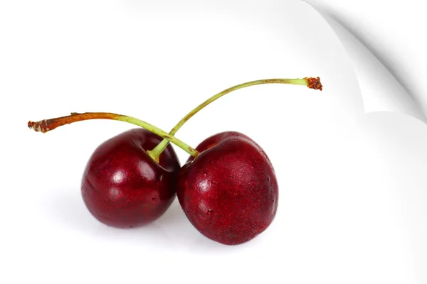 Poster of two sweet cherries — Stock Photo, Image