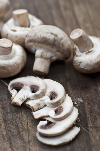 stock image Mushrooms