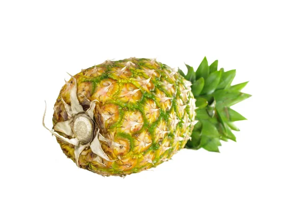 Cały ananas — Zdjęcie stockowe