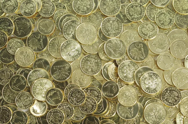 Zlatá mince — Stock fotografie